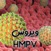 ویروس HMPV اچ ام پی وی چیست؟