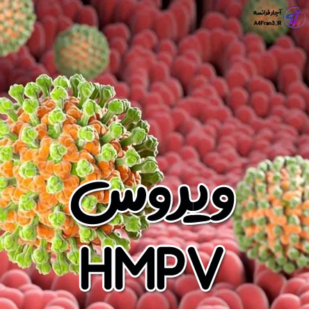 ویروس HMPV اچ ام پی وی چیست؟